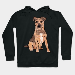 Patterdale Terrier Hoodie